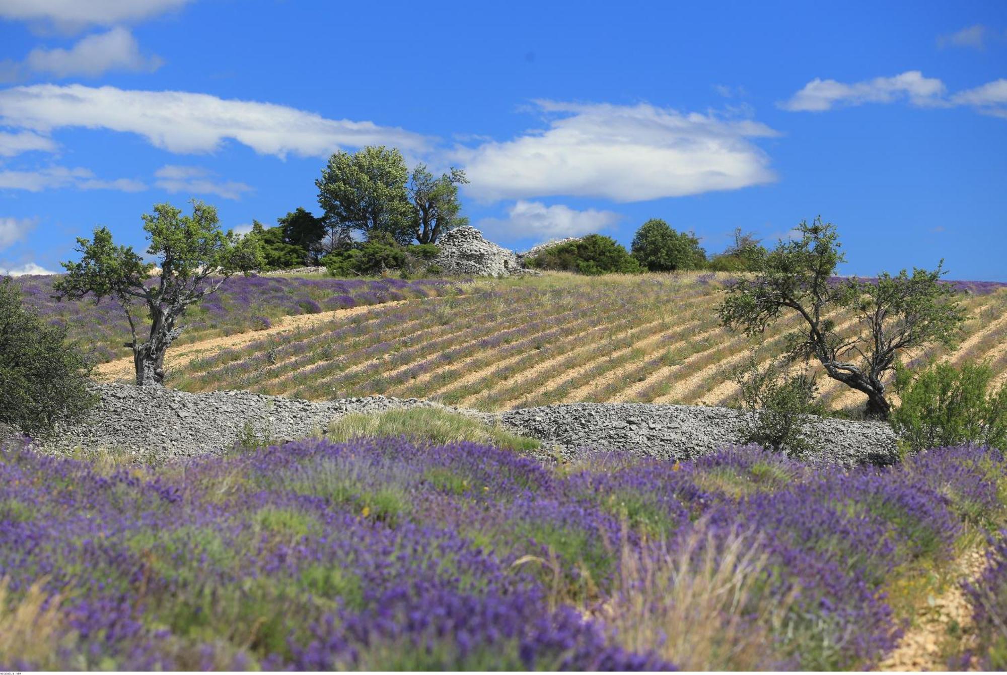 Gite De L'Aspa Saint-Christol  Ruang foto